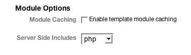 Cache Options