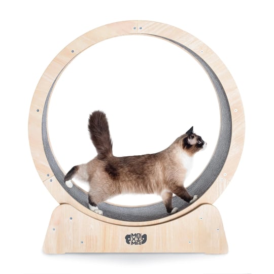 maxima-cat-exercise-wheel-35-australian-brand-assembly-video-included-organic-wooden-materials-indoo-1