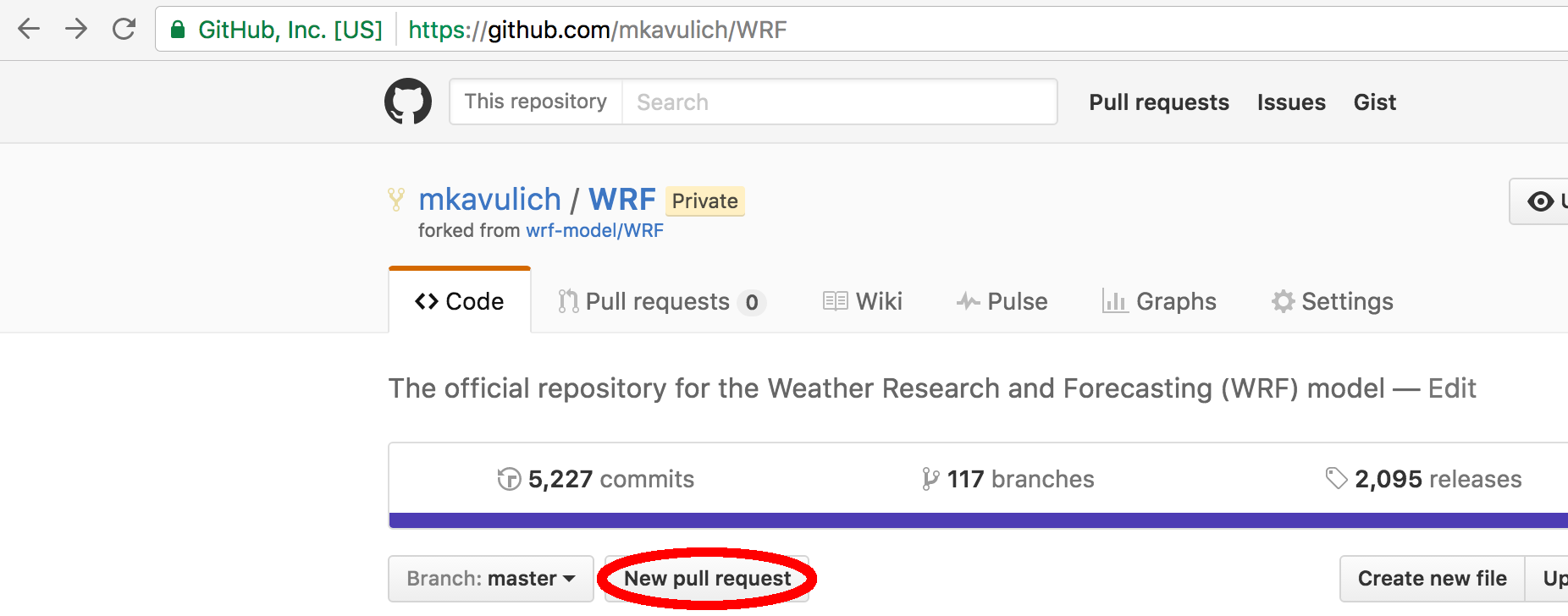 Click New pull request