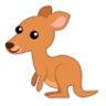 kangaroo