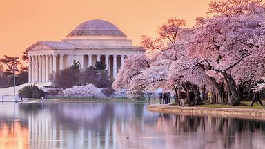 The Jefferson Memorial during the Cherry Blossom Festival, Washington, DC (© f11photo/Shutterstock)