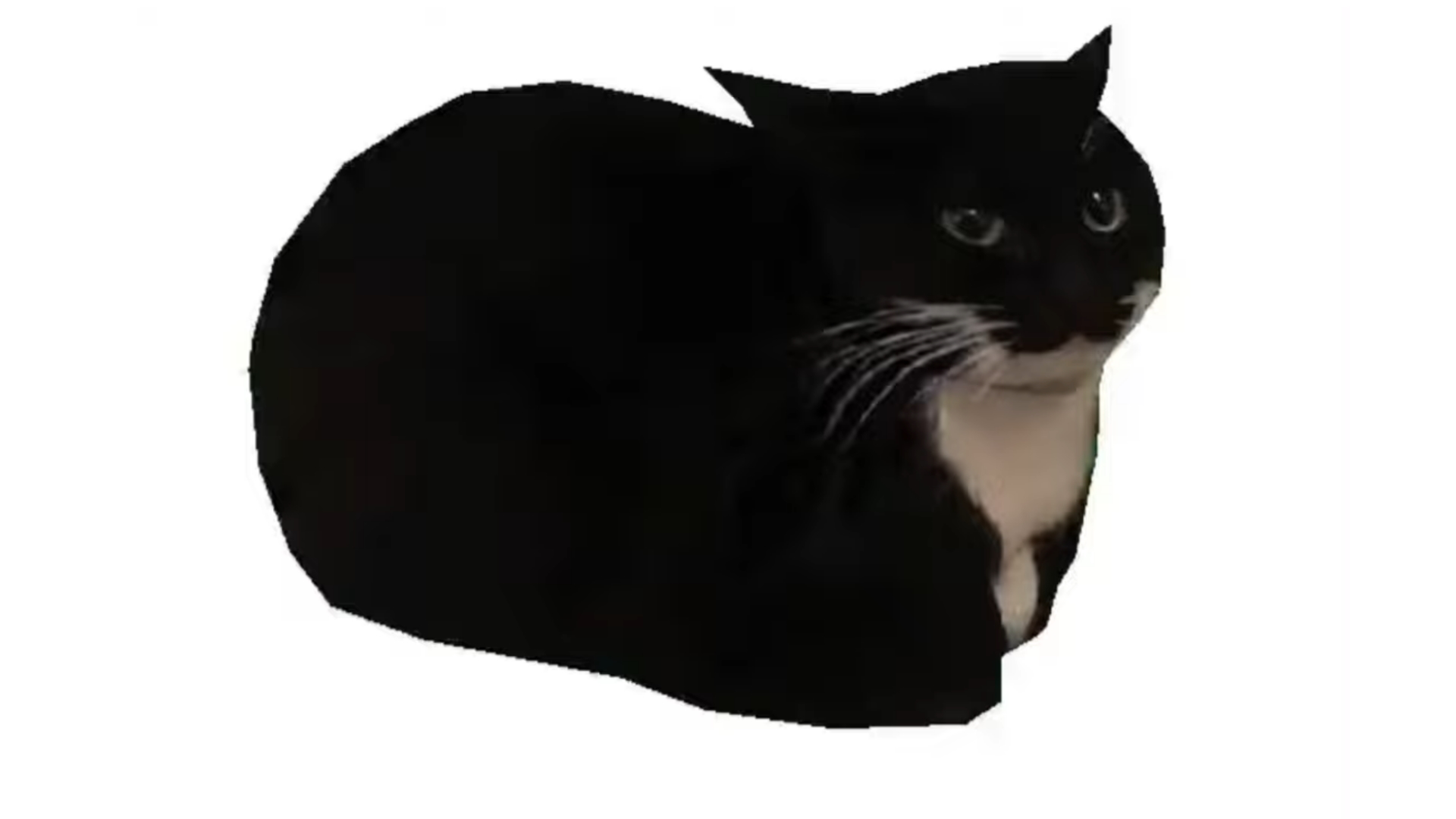 The maxwell cat meme is the mascot for v3