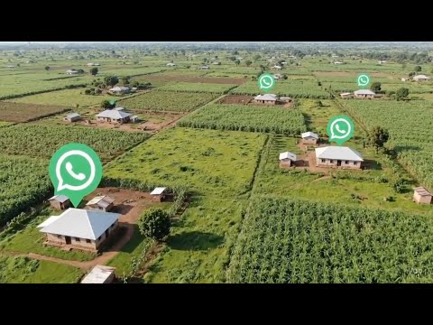 Disease and Pest Alerts