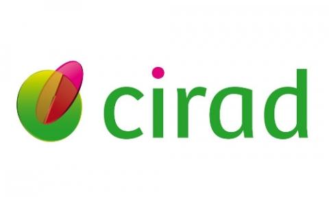 CIRAD