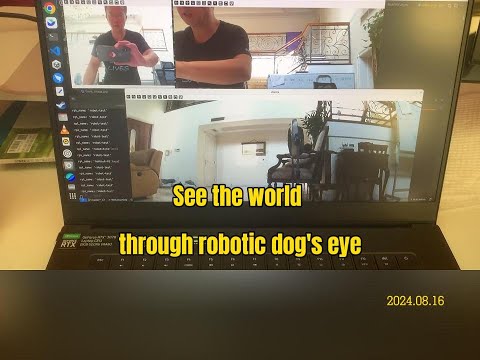 See the world through Unitree robotic dog's eyes