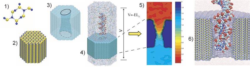 Nanopore