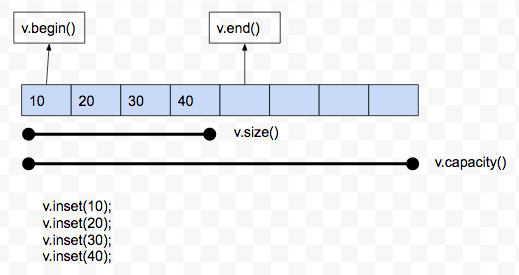 vectors 