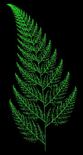 Barnsley Fern fractal