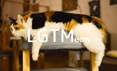 LGTMeow