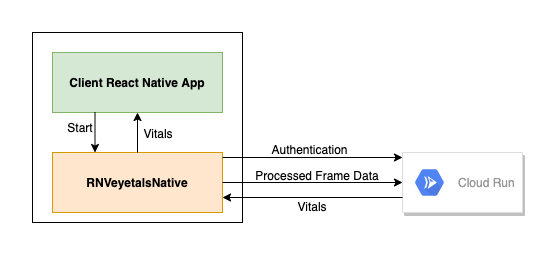 RNVeyetalsNative component architecture