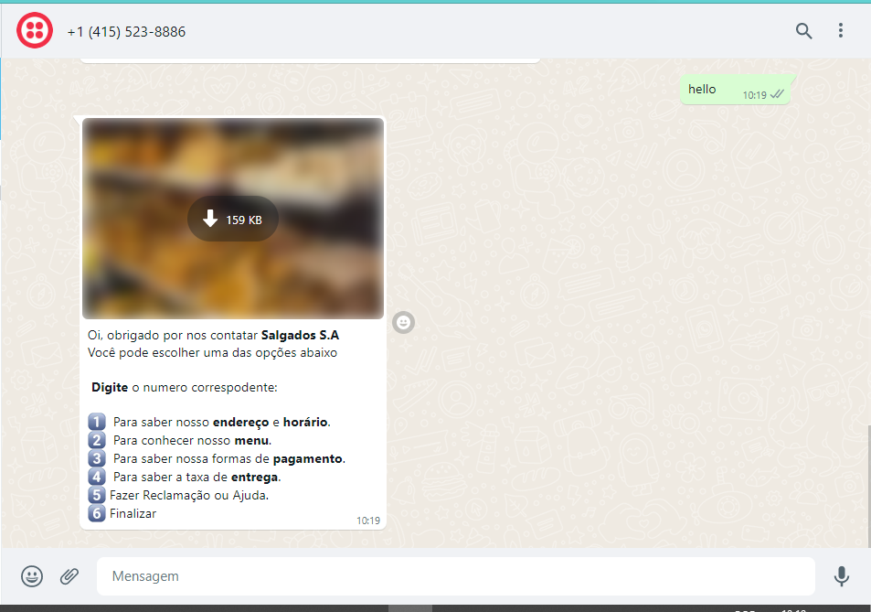 Interface do Chatbot