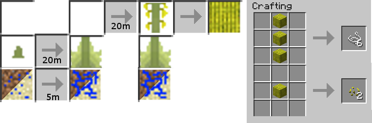 Diagram Illustrating the over Complicated Aloe Vera Life Cycle