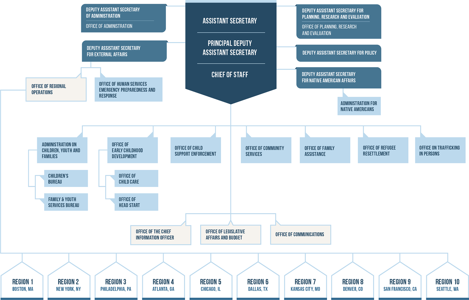 ACF ORG CHART