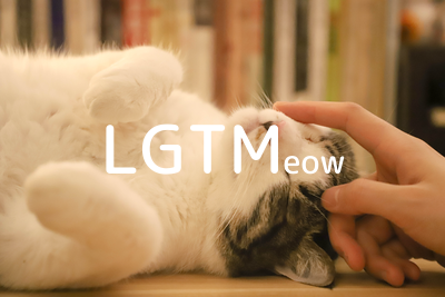 LGTMeow