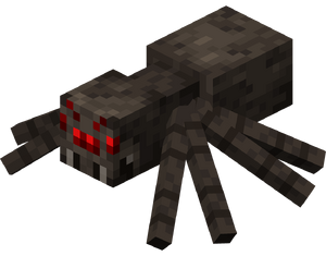 Spider