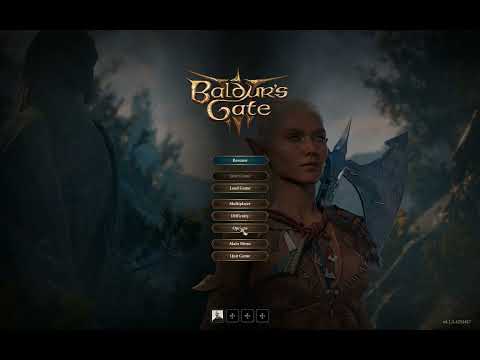 Baldur Gate 3 no wine no tinycore