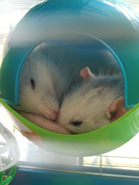 photo-2023-08-24-19-06-14