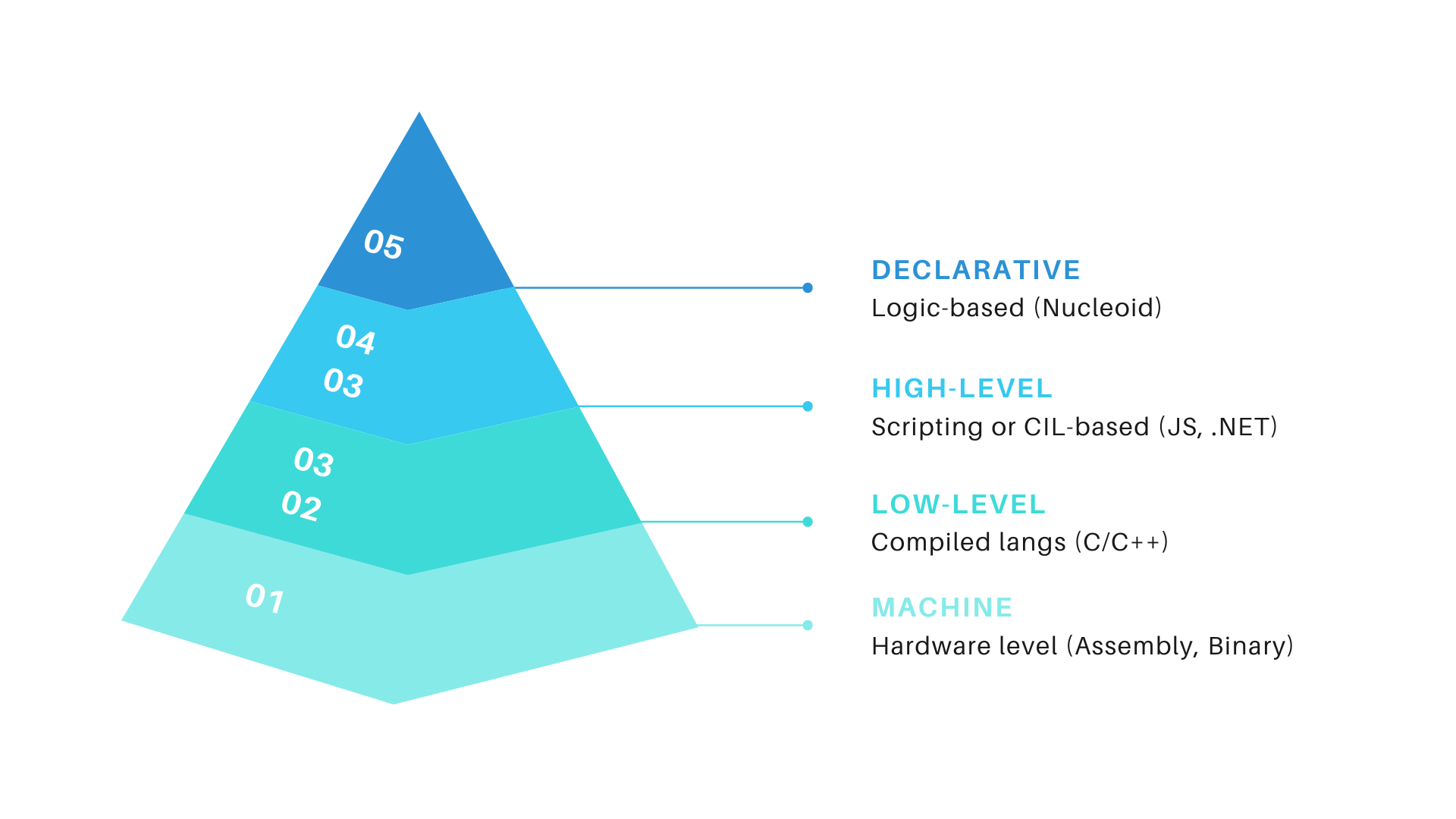 Nucleoid's Taxonomy