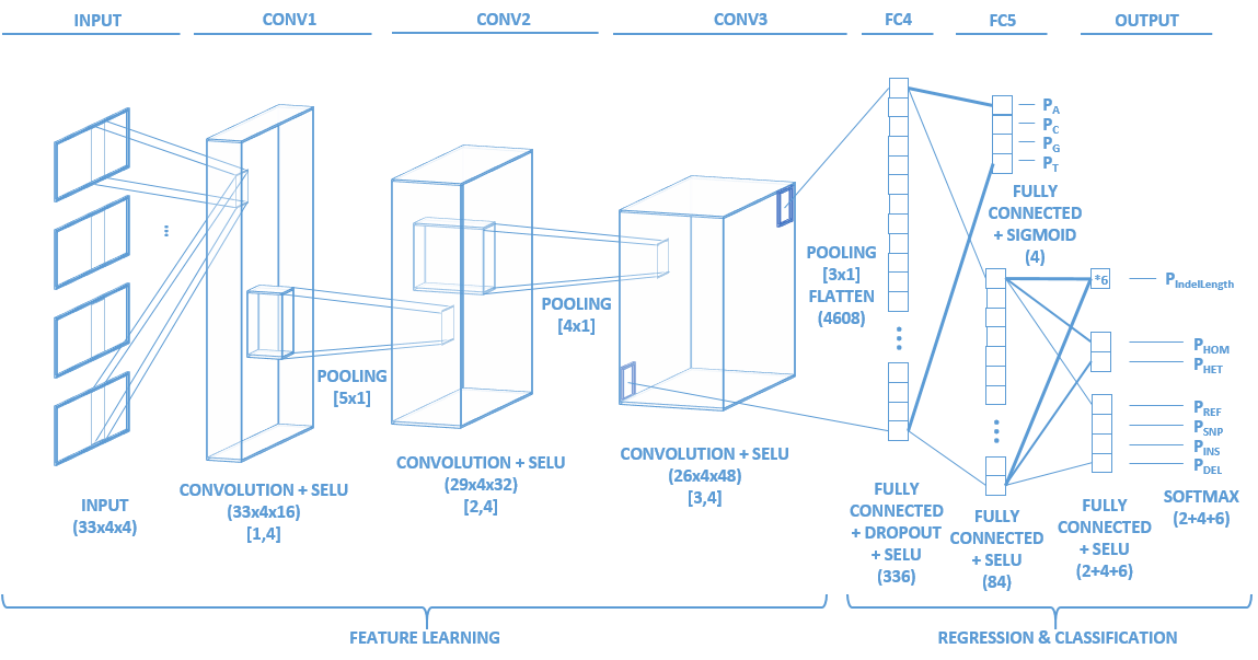 Network Topology