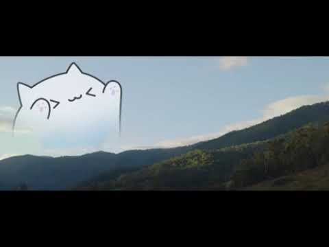 Bongo Cat Memes