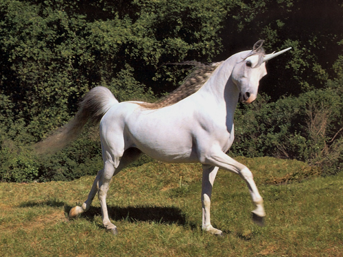 A magical unicorn