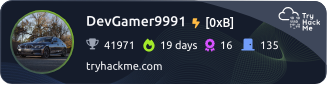 DevGamer9991's TryHackMe stats