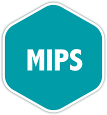 MIPS Assembly