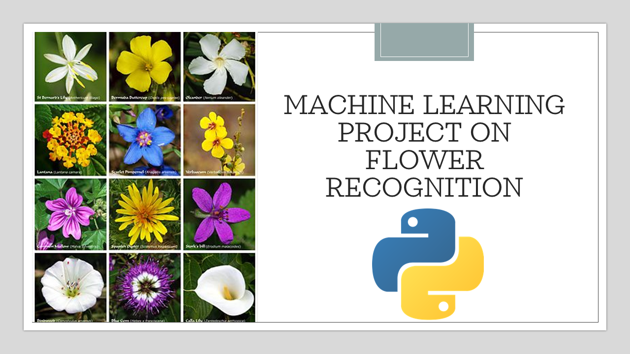 Flowers Recognition using Python