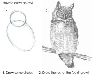 Draw the owl image