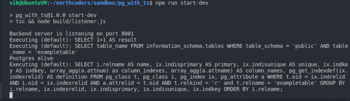 local terminal output