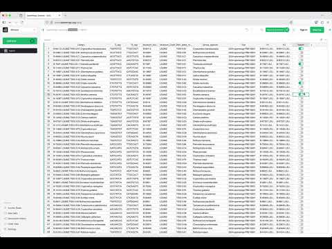 Image of and link to youtube video