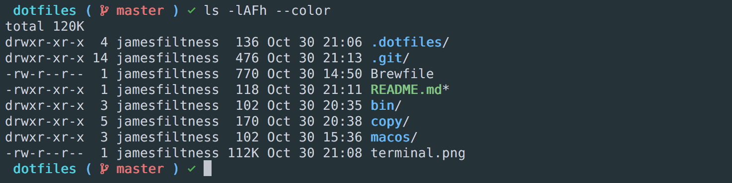 terminal-view-git