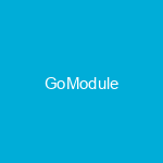 Go Module