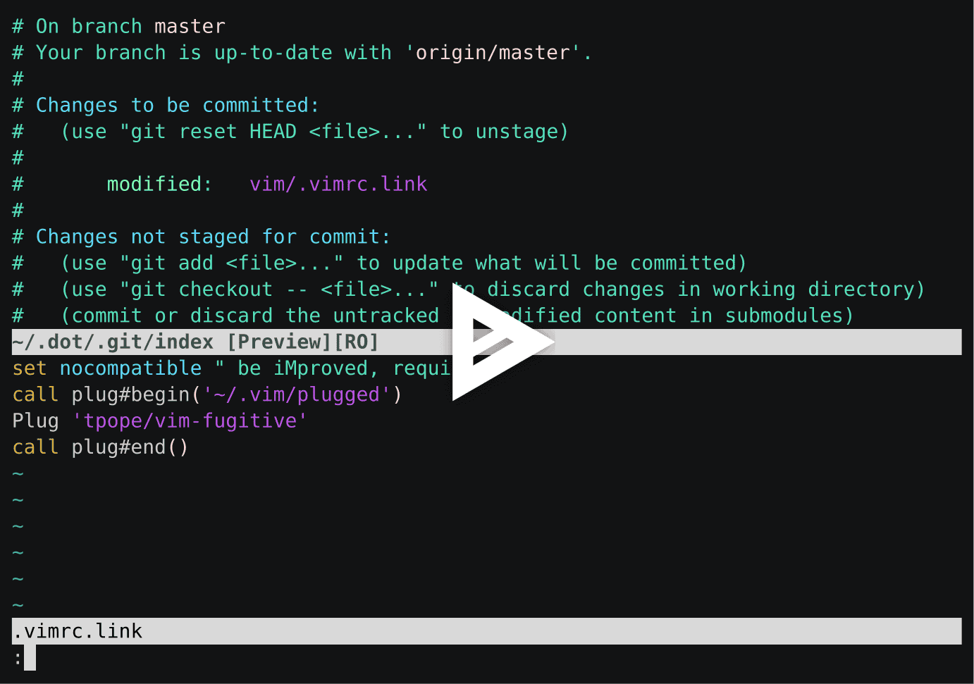 asciicast