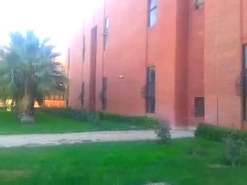 Drone Demo