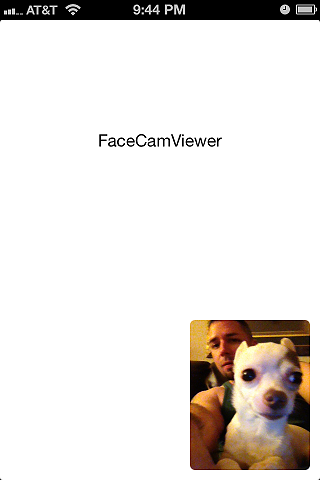 FaceCamViewer Example