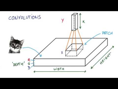 CNN (Convolutional Neural Network)