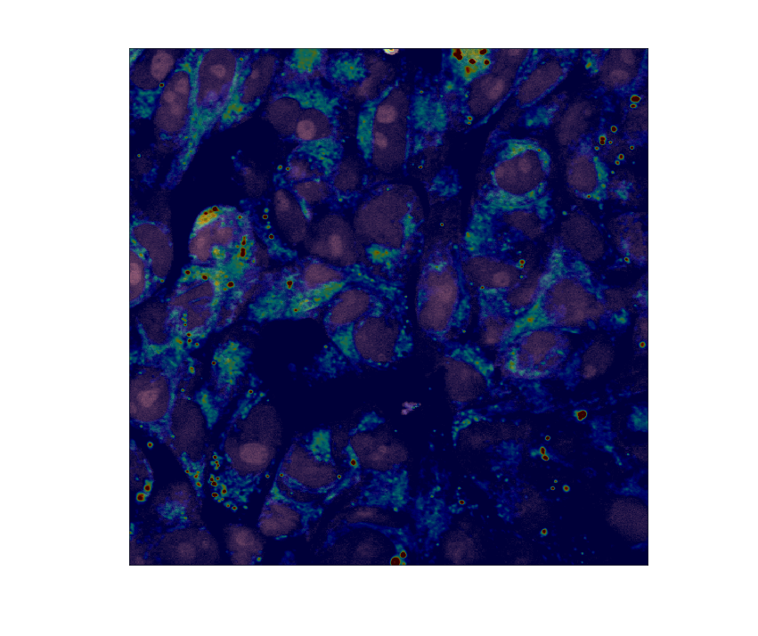 SRS Cell Segmentation via PCA