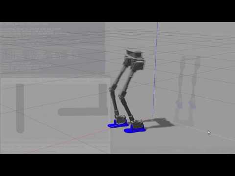 Static Walk of Humanoid Robot