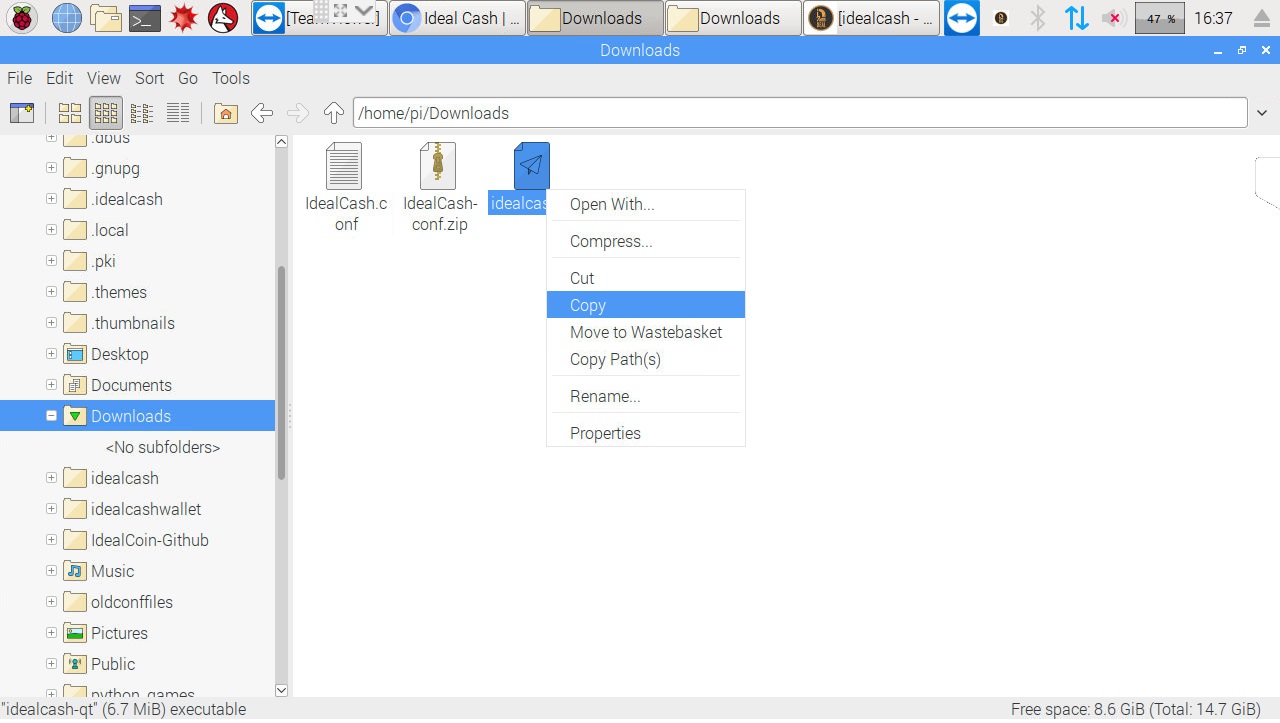 Go back to the Download folder, right click idealcash-qt and click copy.