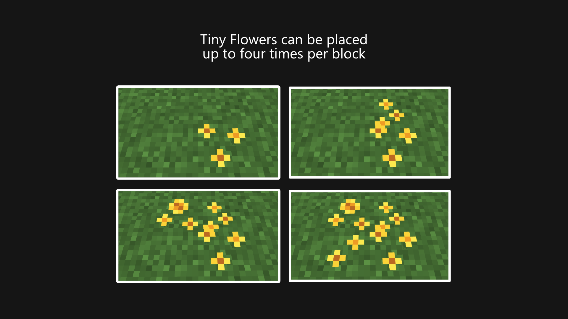 Placing multiple Tiny Flowers in the same block.