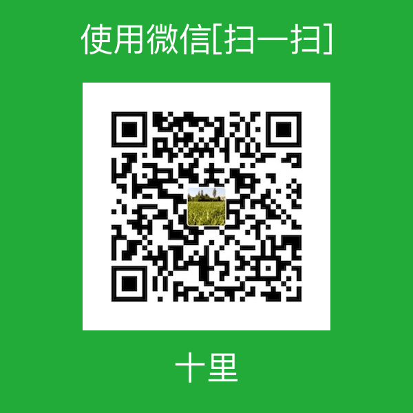 WeChat Pay QR Code