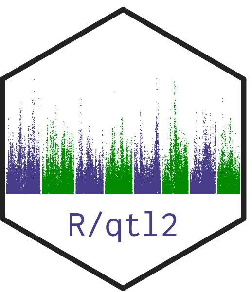 R/qtl2 logo