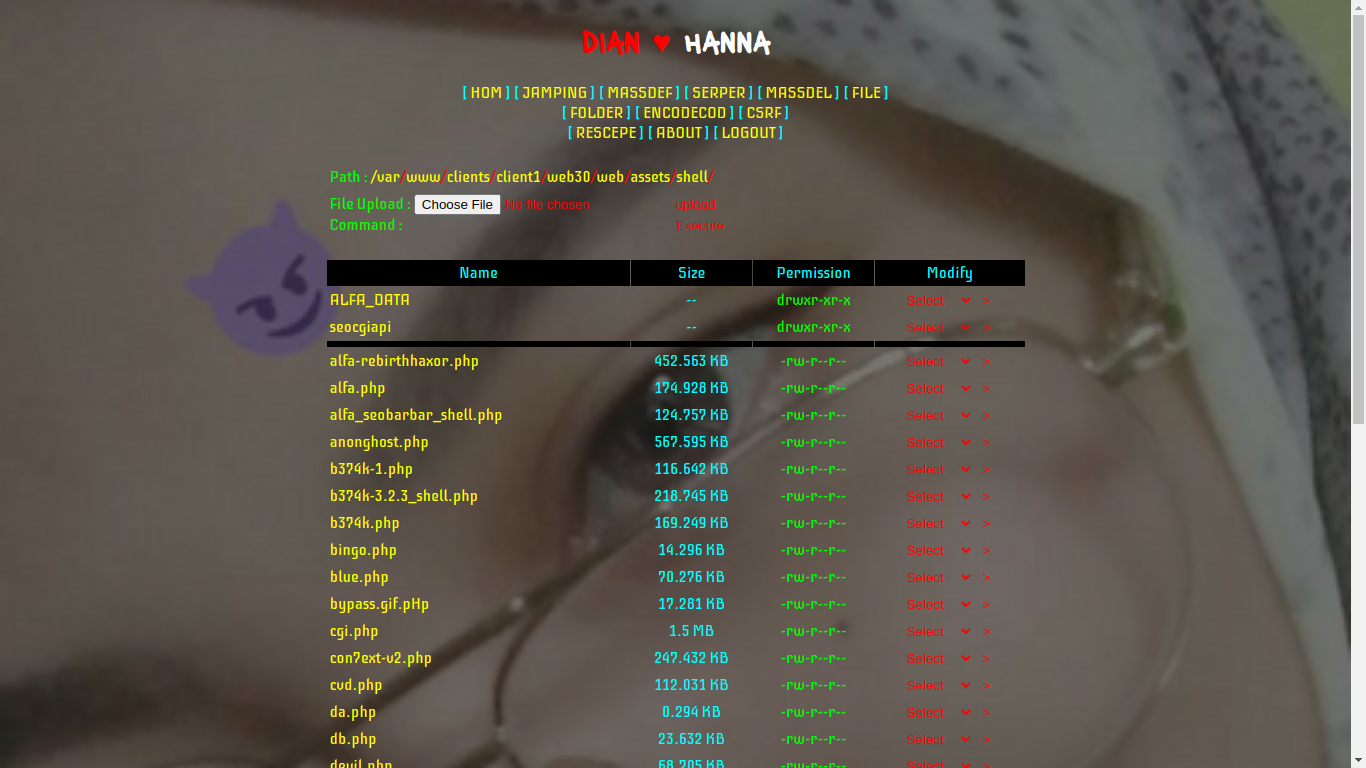 beruangsalju profile