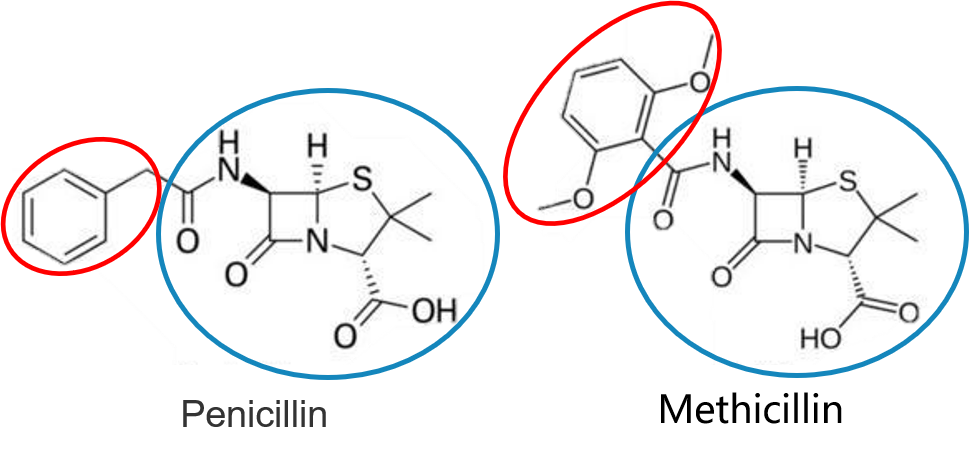 Molecules matching, CVPR 2021