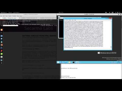 Usage Example