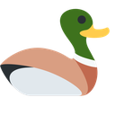 :official_Duck_01_reversed: