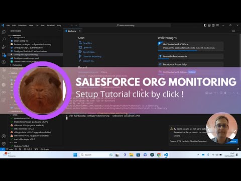 Org Monitoring Setup
