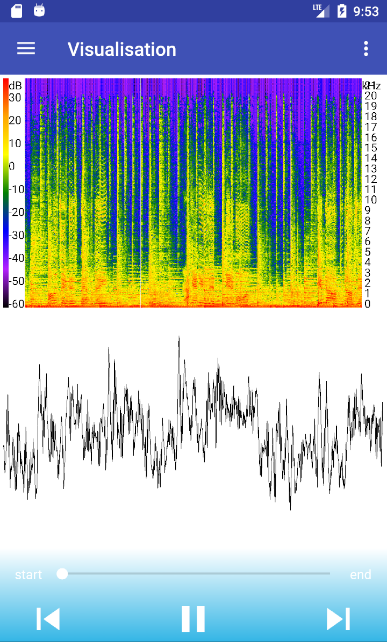 Waveform and spectrogram view