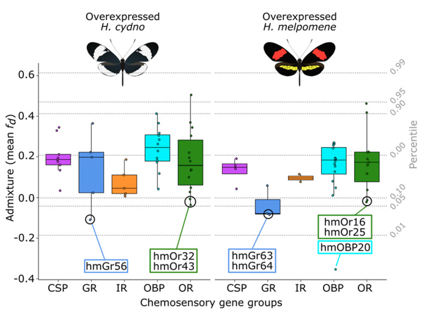 Admixture of chemosensory genes overexpressed in H.cydno and H.melpomene.